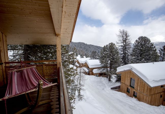 House in Turrach - Chalet for up to 16 persons 