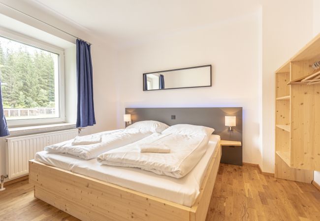 Apartment in Eisenerz - Ferienwohnung mit 3 Schlafzimmern
