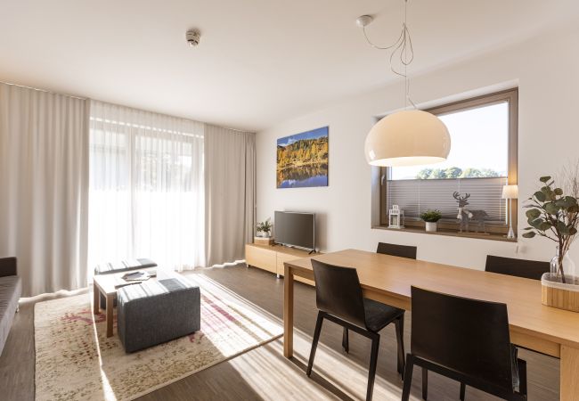  in Rohrmoos-Untertal - Apartment with 1 bedroom and sauna area