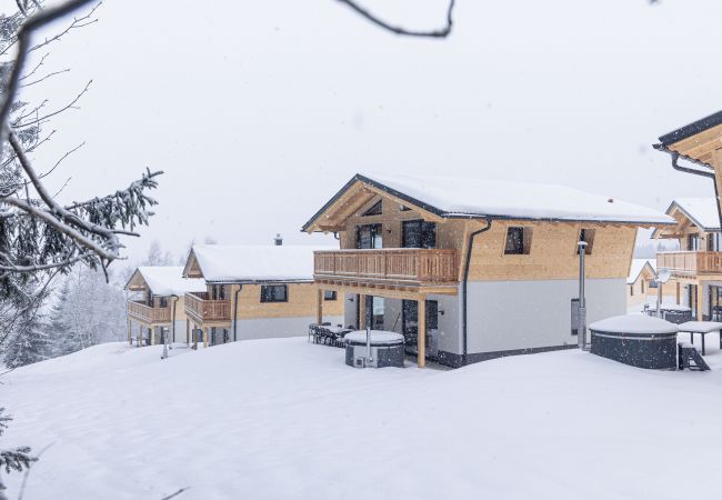 House in St. Englmar - Chalet with 3 bedrooms for up to 9 people