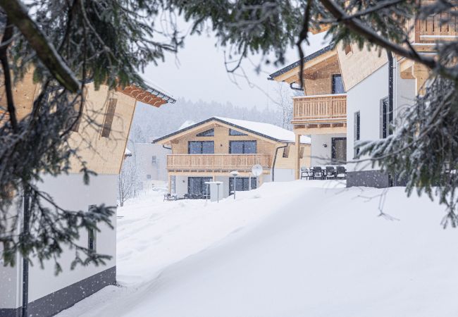House in St. Englmar - Chalet with 2 bedrooms for 4 people